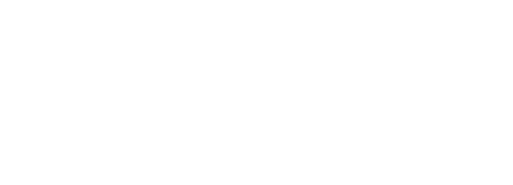 Pfeifer Starke Automobile